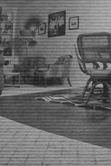 My House Is Haunted