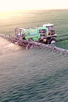 Le Roundup face à ses juges