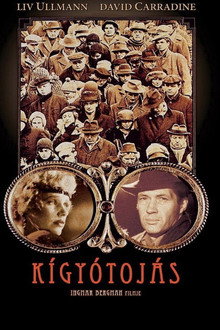 Kígyótojás