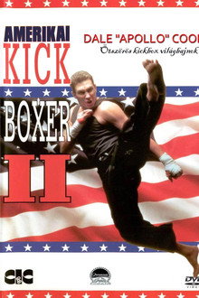 Amerikai kickboxer 2.