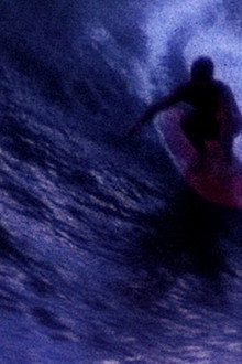 Surfing Hollow Days