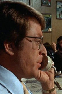 The Courtship of Eddie's Father - Season 2