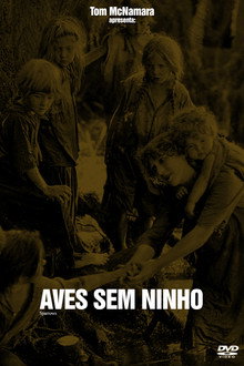 Aves Sem Ninho
