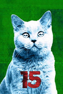 Сезон 15
