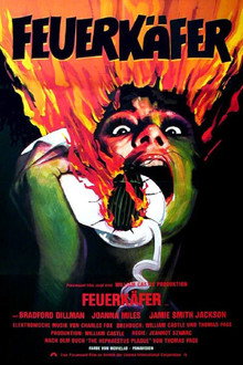 Feuerkäfer