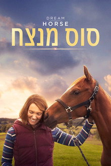 סוס מנצח