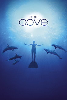The Cove