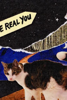 The Real You