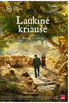 Laukinė kriaušė