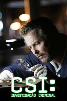 Temporada 8