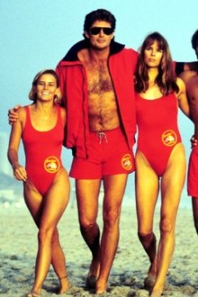 Los-vigilantes-de-la-playa