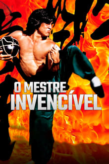 Poster do filme 醉拳