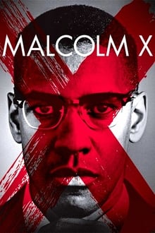 Poster do filme Malcolm X