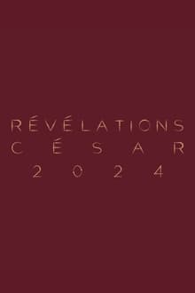 Poster do filme The Revelations 2024
