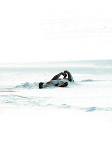 The Last Winter