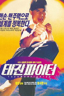 태권 파이터
