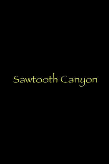 Sawtooth Canyon movie poster