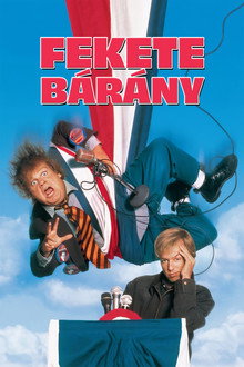 Fekete bárány
