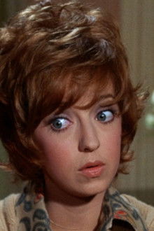 The Courtship of Eddie's Father - Season 2