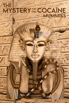 Mystery of the Cocaine Mummies