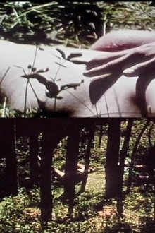Short Films 1975 #9