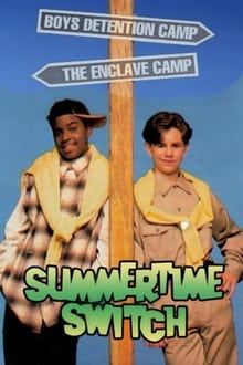 Poster do filme Summertime Switch