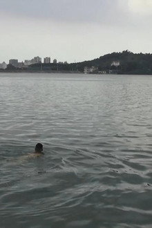 卤煮