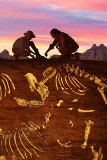 Jurassic Ghost Town: A Mass Murder Mystery