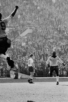 Viva Brazil