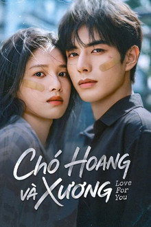 Chó Hoang Và Xương