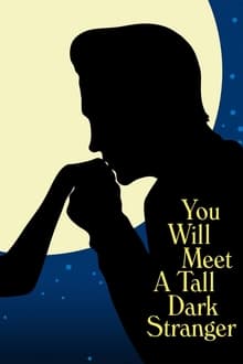 You Will Meet a Tall Dark Stranger movie poster