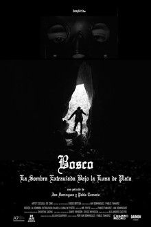 Bosco: La Sombra Extraviada Bajo la Luna de Plata
