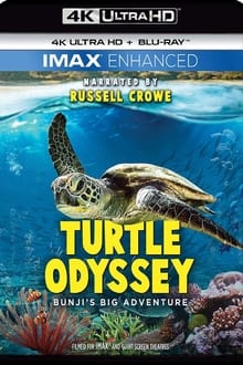 IMAX - 海龜世界 movie poster