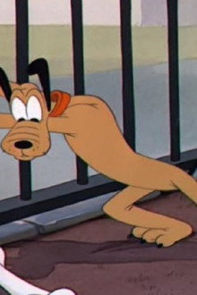 Pluto at the Zoo