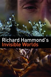 Poster da série Richard Hammond's Invisible Worlds