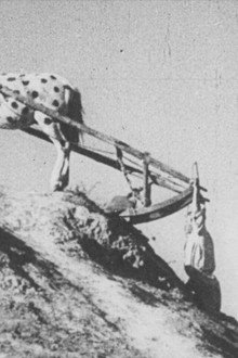 Счастье
