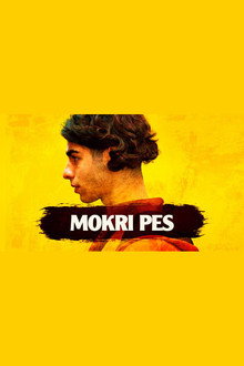 Mokri pes