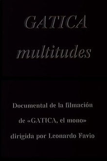Gatica multitudes