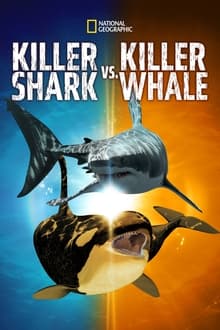 Killer Shark Vs Killer Whale 2021