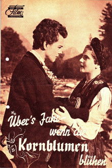 Übers Jahr, wenn die Kornblumen blühen