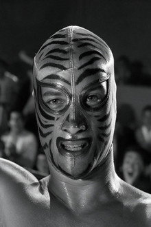 Los tigres del ring