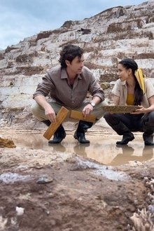 A Machu Picchu Proposal