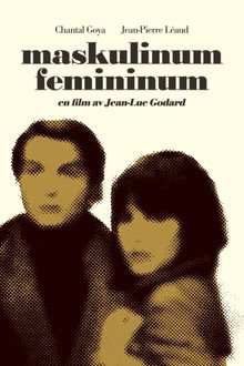Maskulinum - femininum