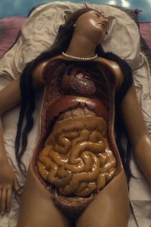 Four-Unloved-Women,-Adrift-on-a-Purposeless-Sea,-Experience-the-Ecstasy-of-Dissection