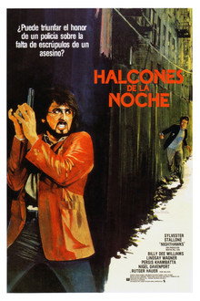 Halcones de la noche