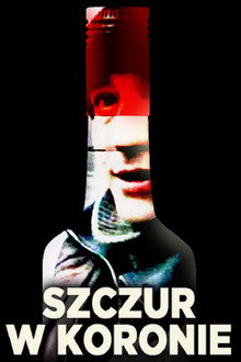 Szczur w koronie