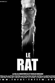 Le rat