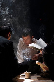 蝼蚁动力学