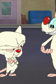 Animaniacs season 2 episode 8