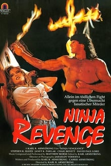 Ninja Vengeance movie poster